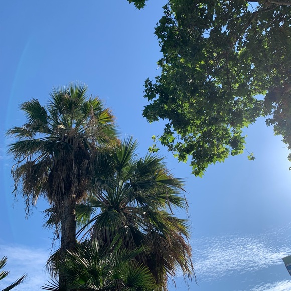 Meet your Posher, Nancy - Picture 5 of 8